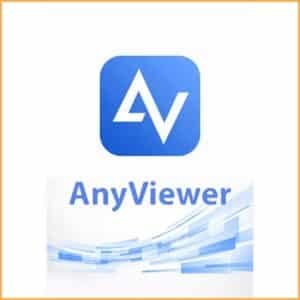 AnyViewer Pro - 1 año